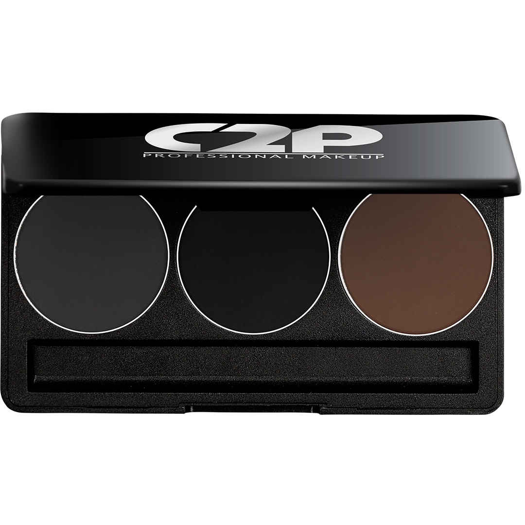 Buy C2P Pro Professional Basic Makeup Kit Trio Eyebrow (3 In 1) - Purplle