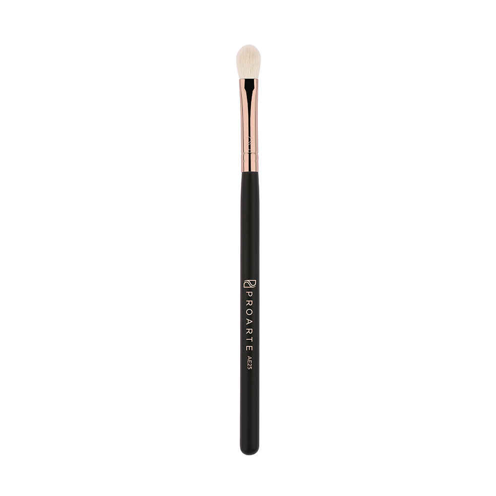Buy Proarte AE-25 Flat Blending Brush Black - Purplle