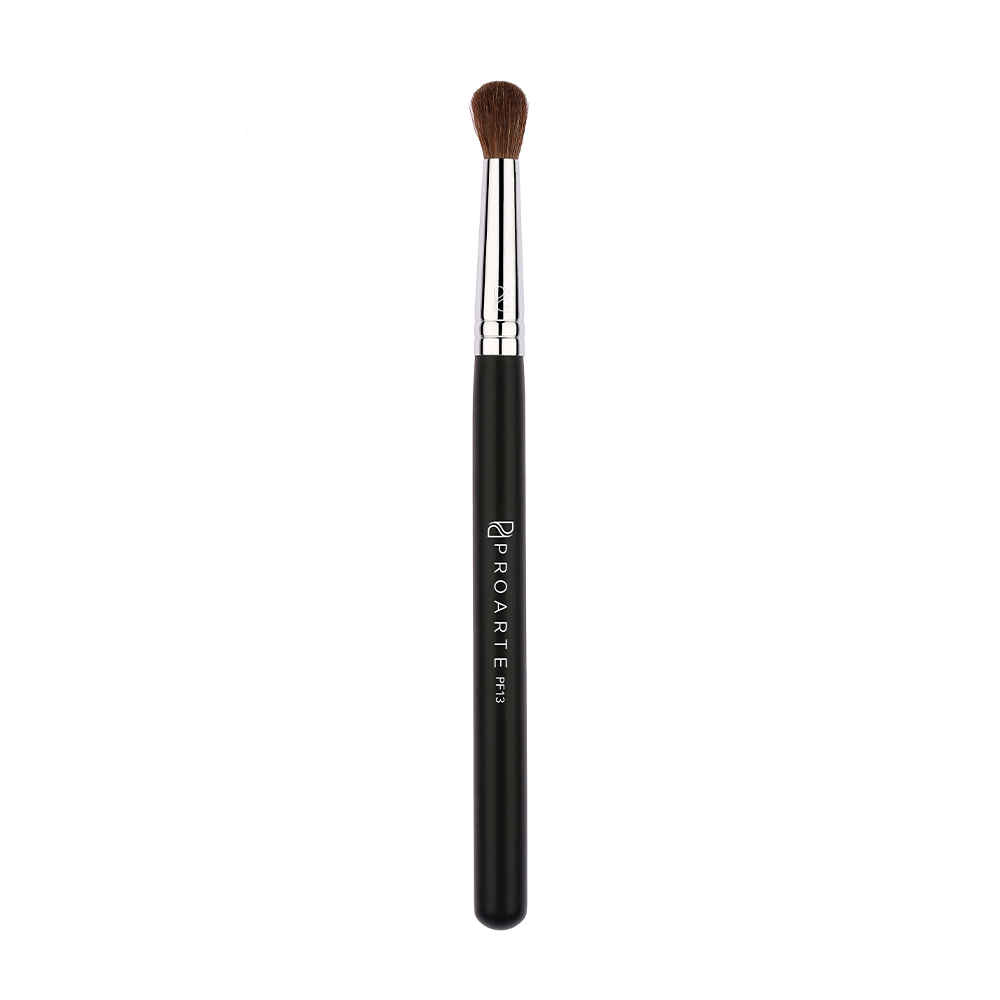 Buy Proarte PF-13 All Over Concealer Brush Black - Purplle