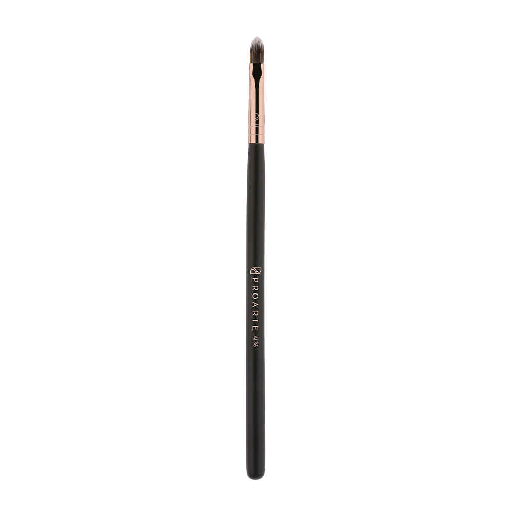 Buy Proarte AL-36 Pro Lips Precision Brush - Purplle