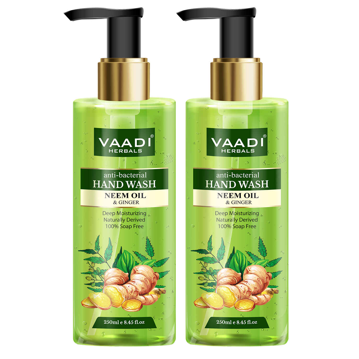 Buy Vaadi Herbals Pack of 2 Anti-Bacterial Neem Oil & Ginger Hand Wash (250 ml x 2) - Purplle