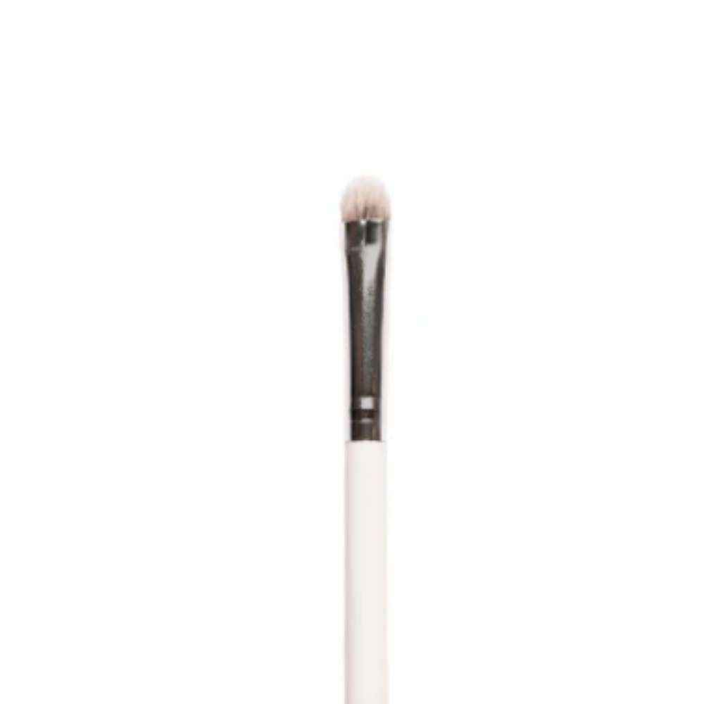 Buy Plume P17 - Dense Dome Eyeshadow Application Brush - 1 Pc - Purplle
