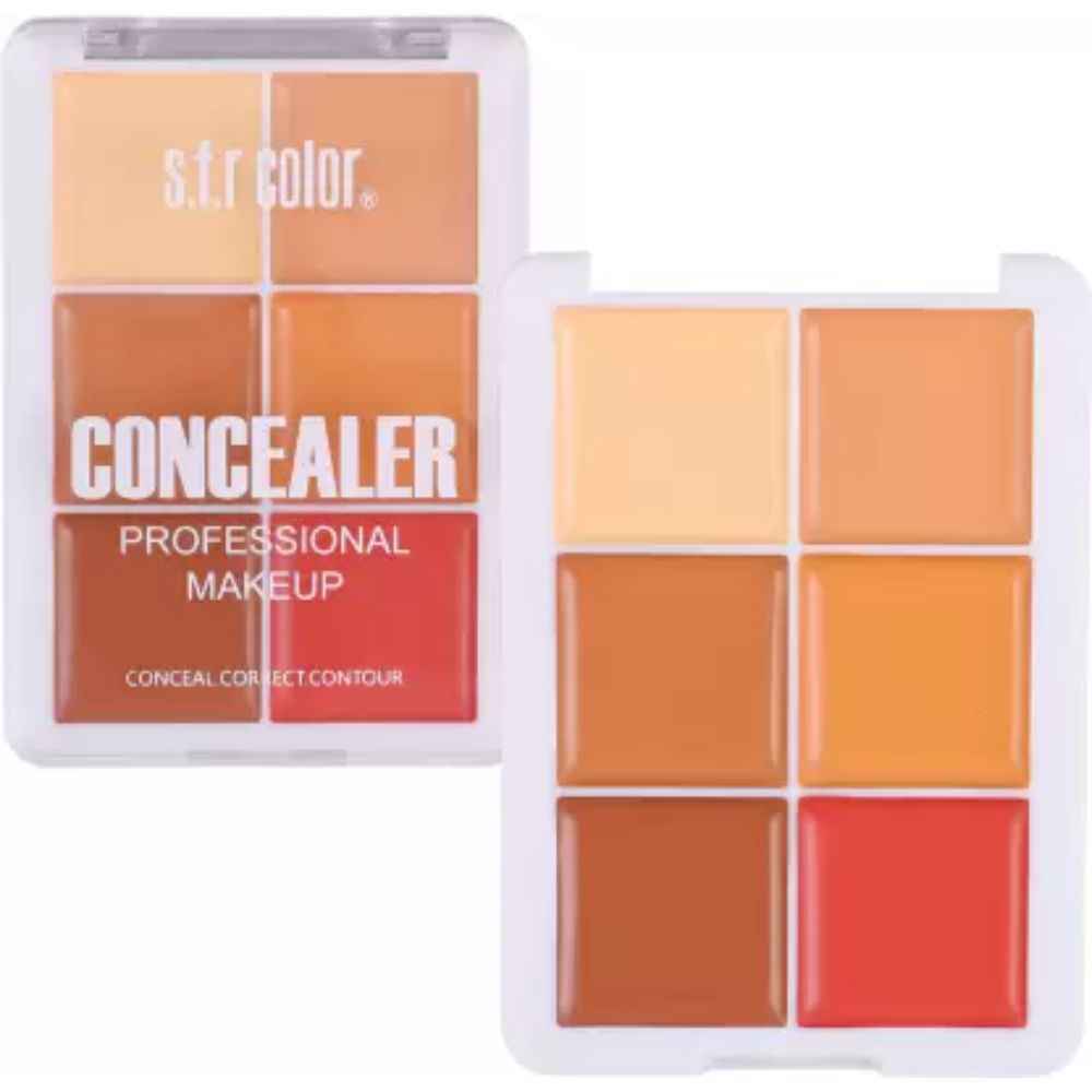 Buy s.f.r color Professional Makeup 6 Color Concealer Pallete (16.8g) 7324-01 - Purplle