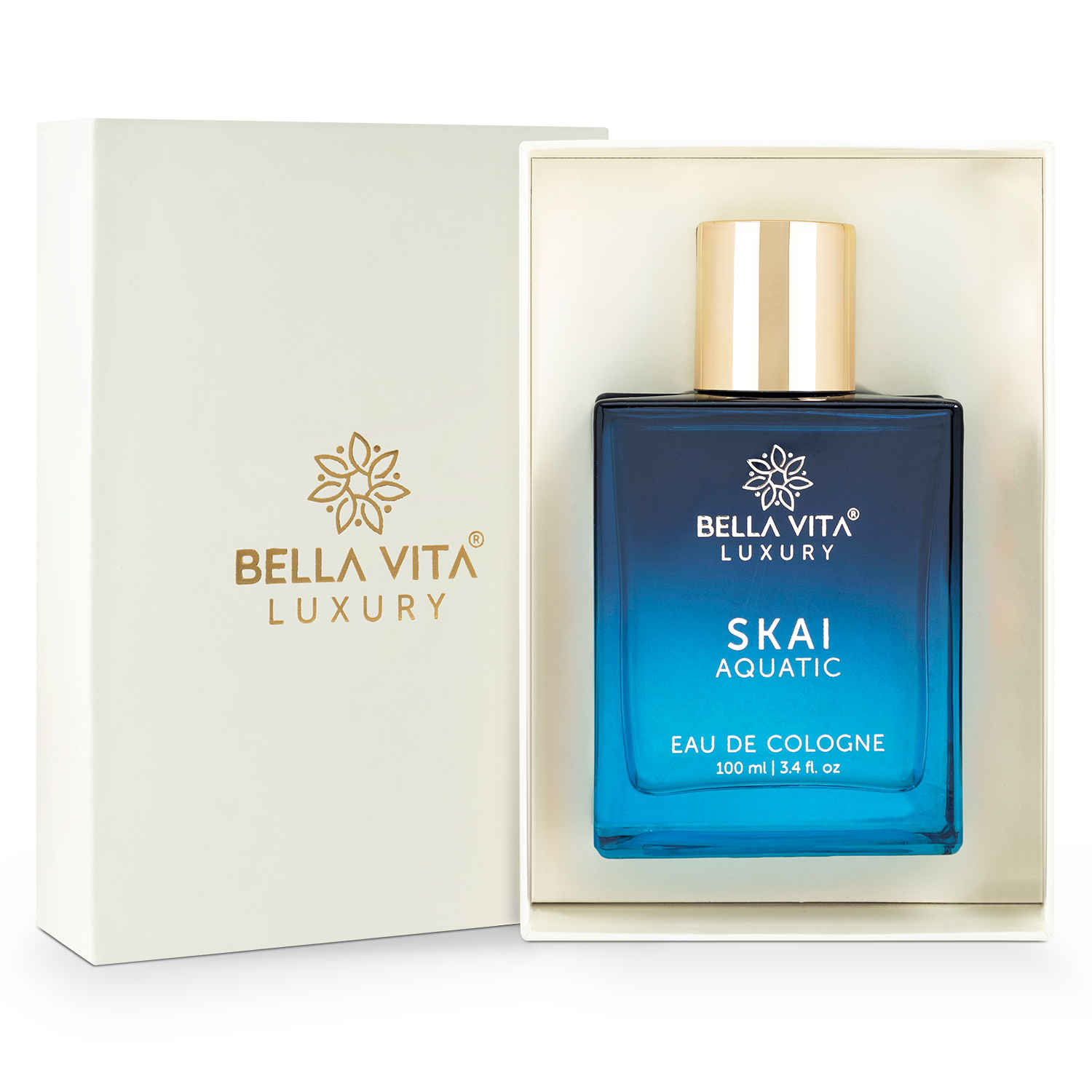 Buy Bella Vita Luxury SKAI AQUATIC Perfume ,100 ml - Purplle