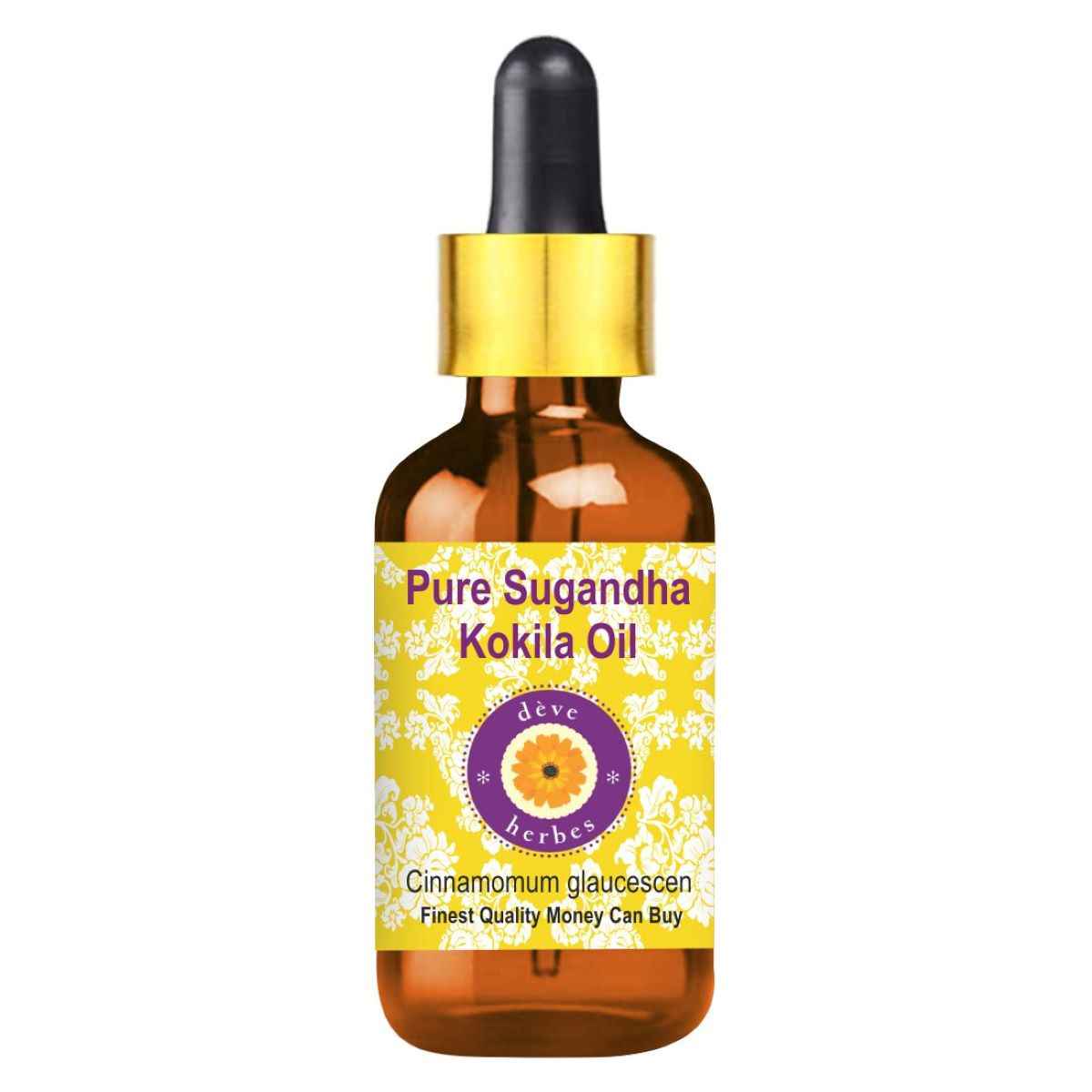 Buy Deve Herbes Pure Sugandha Kokila Oil (Cinnamomum glaucescens) with Glass Dropper Natural Therapeutic Grade 10ml - Purplle