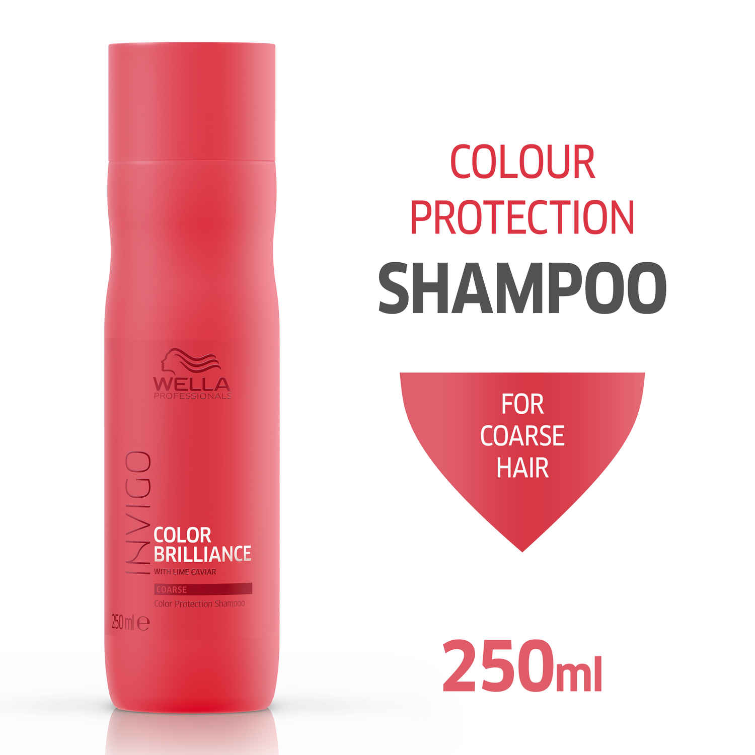 Buy Wella Professionals INVIGO COLOR BRILLIANCE SHAMPOO for fine/normal Hair (250 ml) - Purplle