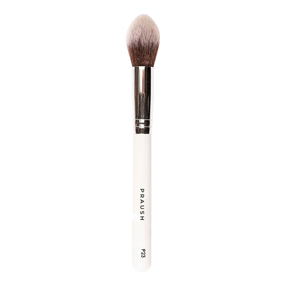 Buy Praush (Formerly Plume) Professional Makeup Brush Set - 23 Pcs - Purplle