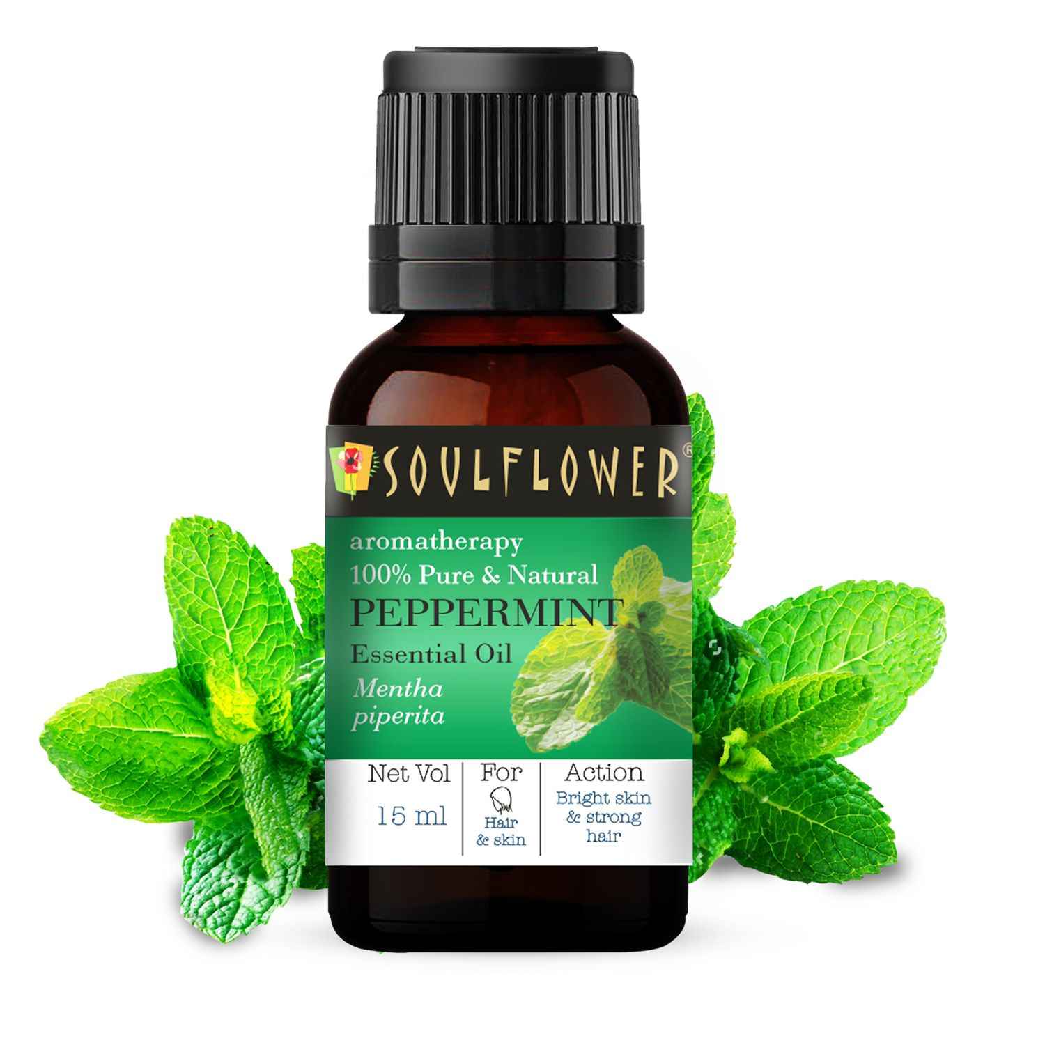 Buy Soulflower Peppermint Essential Oil for Hair & Skin Care, Aromatherapy, Home Diffuser - 100% Pure, Organic, Natural Undiluted Oil, Ecocert Cosmos Organic Certified 15 ml - Purplle