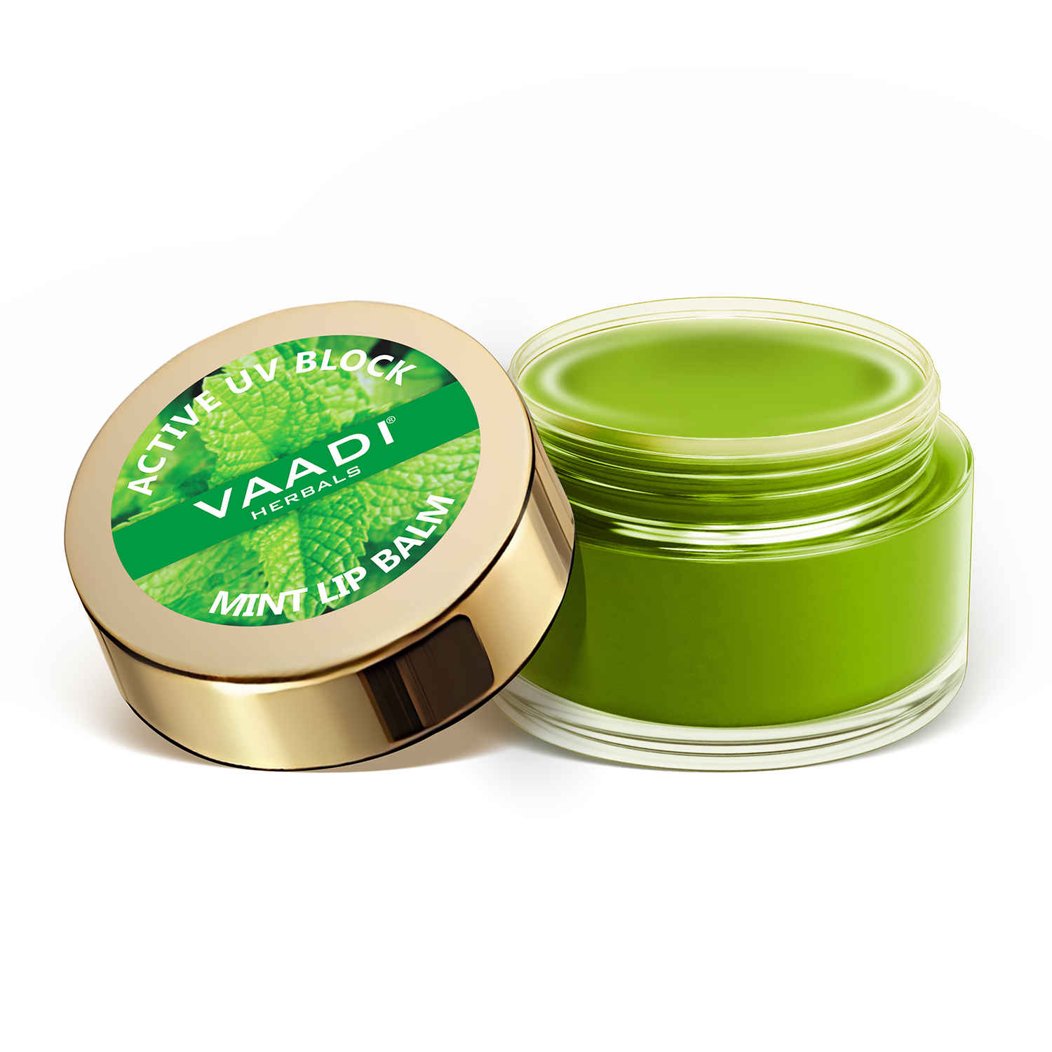Buy Vaadi Herbals Lip Balm Mint (10 gm) - Purplle