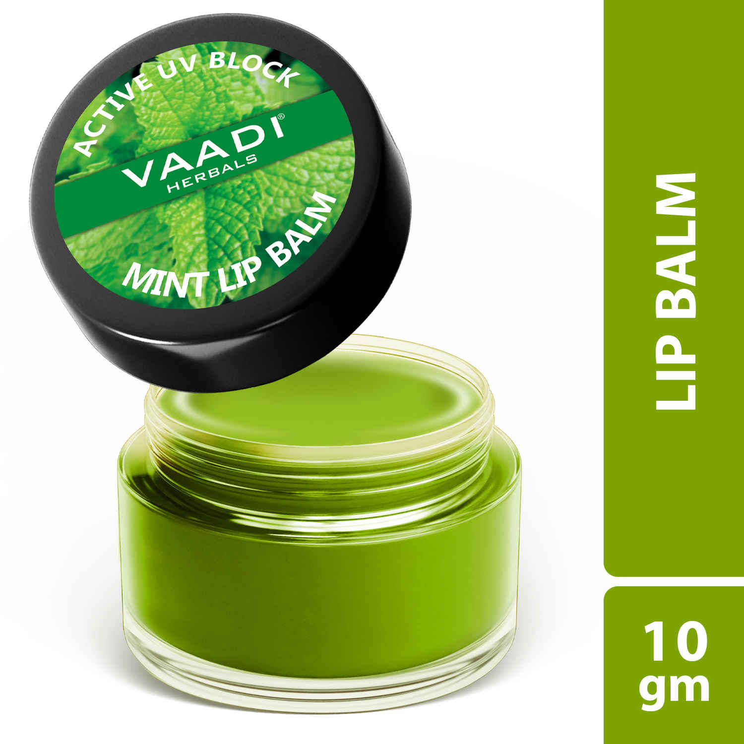 Buy Vaadi Herbals Lip Balm Mint (10 gm) - Purplle