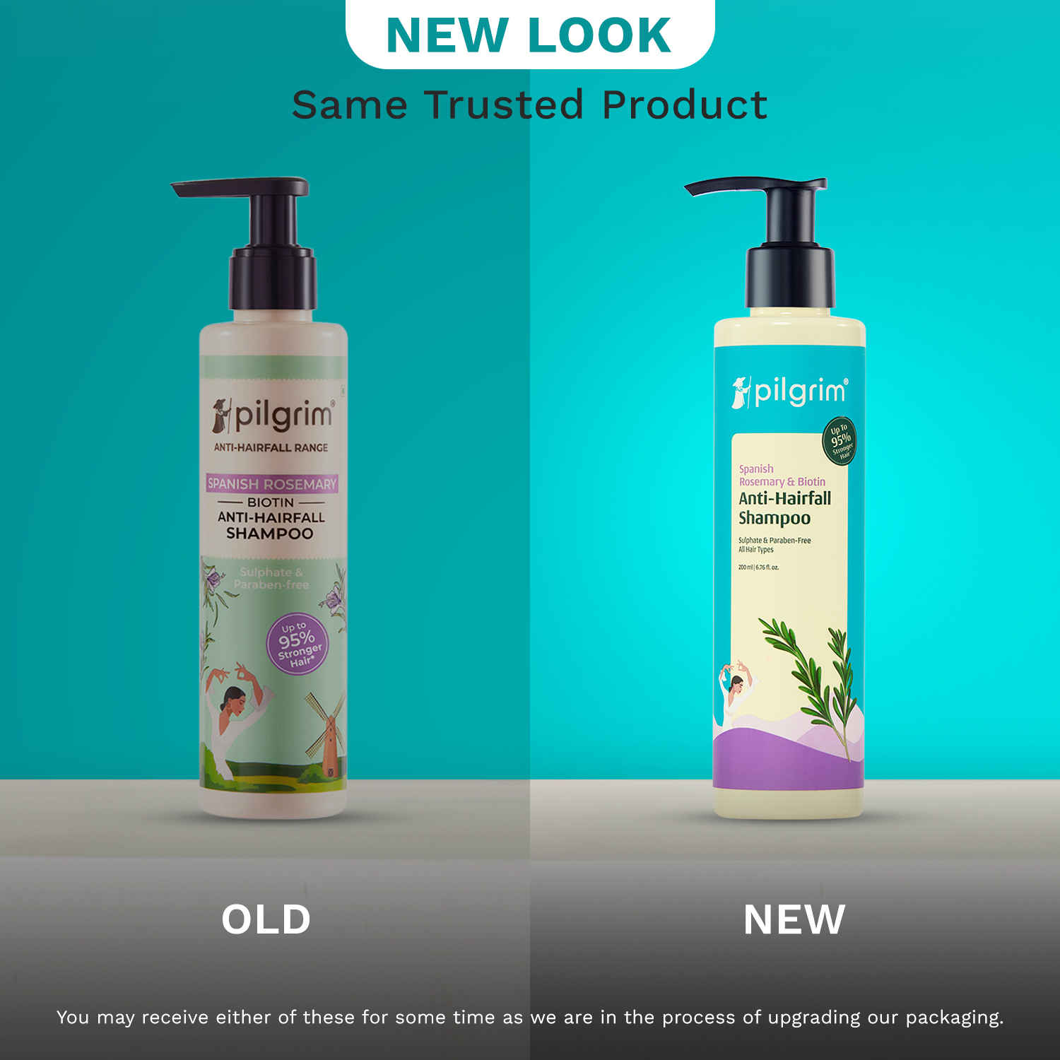 Buy Pilgrim Spanish Rosemary & Biotin Anti Hairfall Shampoo for Reducing Hair Loss & Breakage | Upto 95% stronger hairs | Suitable for all hair types | For Men & Women 200 ml - Purplle