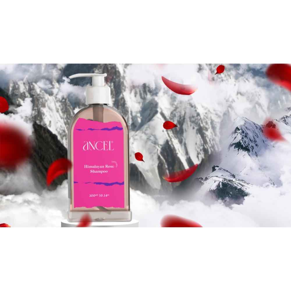 Buy ANCEL Himalayan Rose Shampoo | with Rose Extract, Glycerin & Pro-Vitamin B5 | For Volumizing Hair and Scalp deodorizer I Natural ingredients|Sulphate & Paraben Free | For Men & Women I 300 ml - Purplle