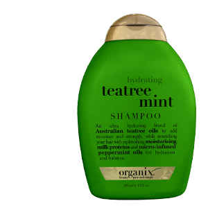 Buy OGX Tea Tree Mint Shampoo (385 ml) (Pack of 2) - Purplle