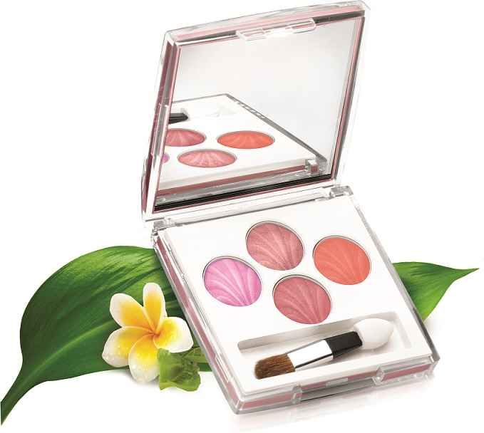 Buy Lotus Make Up Eco Stay Long Lasting Eye Shadow Rainbow Passion 24 (8 g) - Purplle