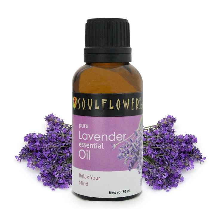 Buy Soulflower Essential Oil Lavender (30 ml) - Purplle