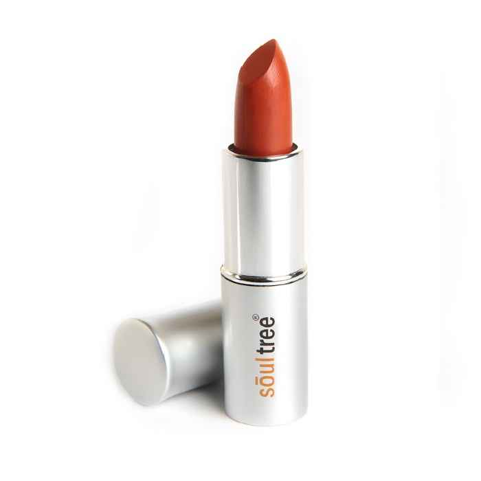 Buy SoulTree Lipstick Deep Blush 820 (4.5 g) - Purplle