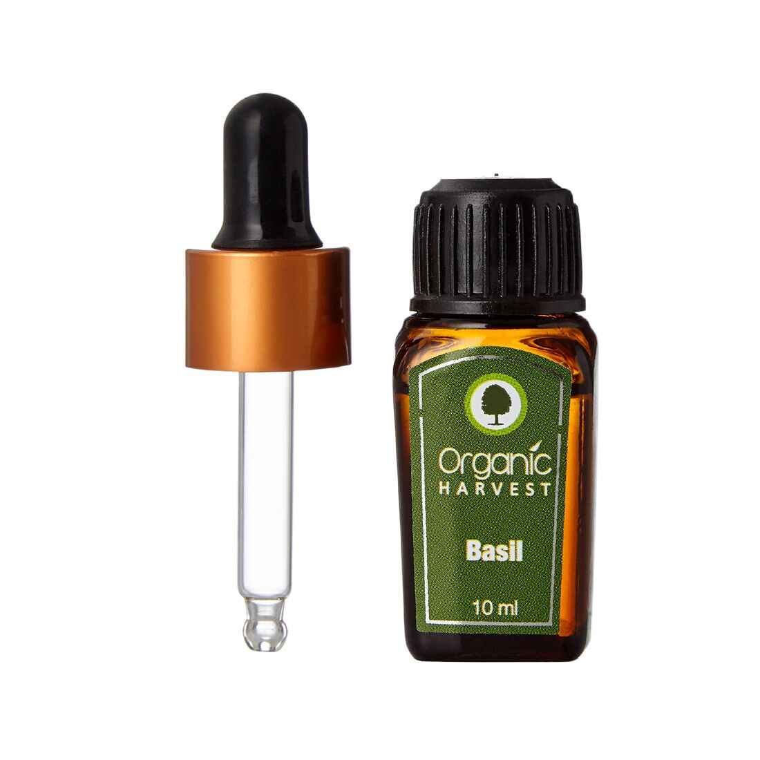 Buy Organic Harvest Basil (10 ml) - Purplle