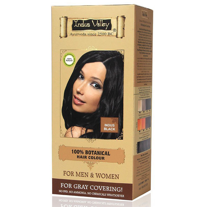 Buy Indus Valley 100% Botanical Organic Healthier Hair Colour Indus Black (254 g) - Purplle
