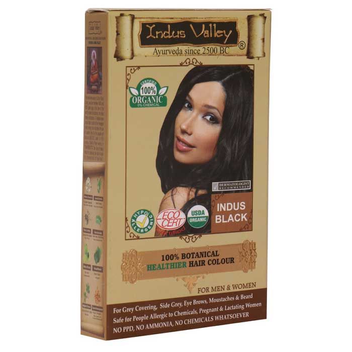 Buy Indus Valley 100% Botanical Organic Healthier Hair Colour Indus Black One Touch/Trial Pack (35g) - Purplle