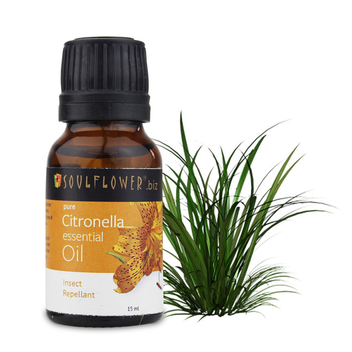 Buy Soulflower Essential Oil Citronella (15 ml) - Purplle