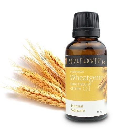 Buy Soulflower Cold Pressed Oil Wheatgerm (30 ml) - Purplle