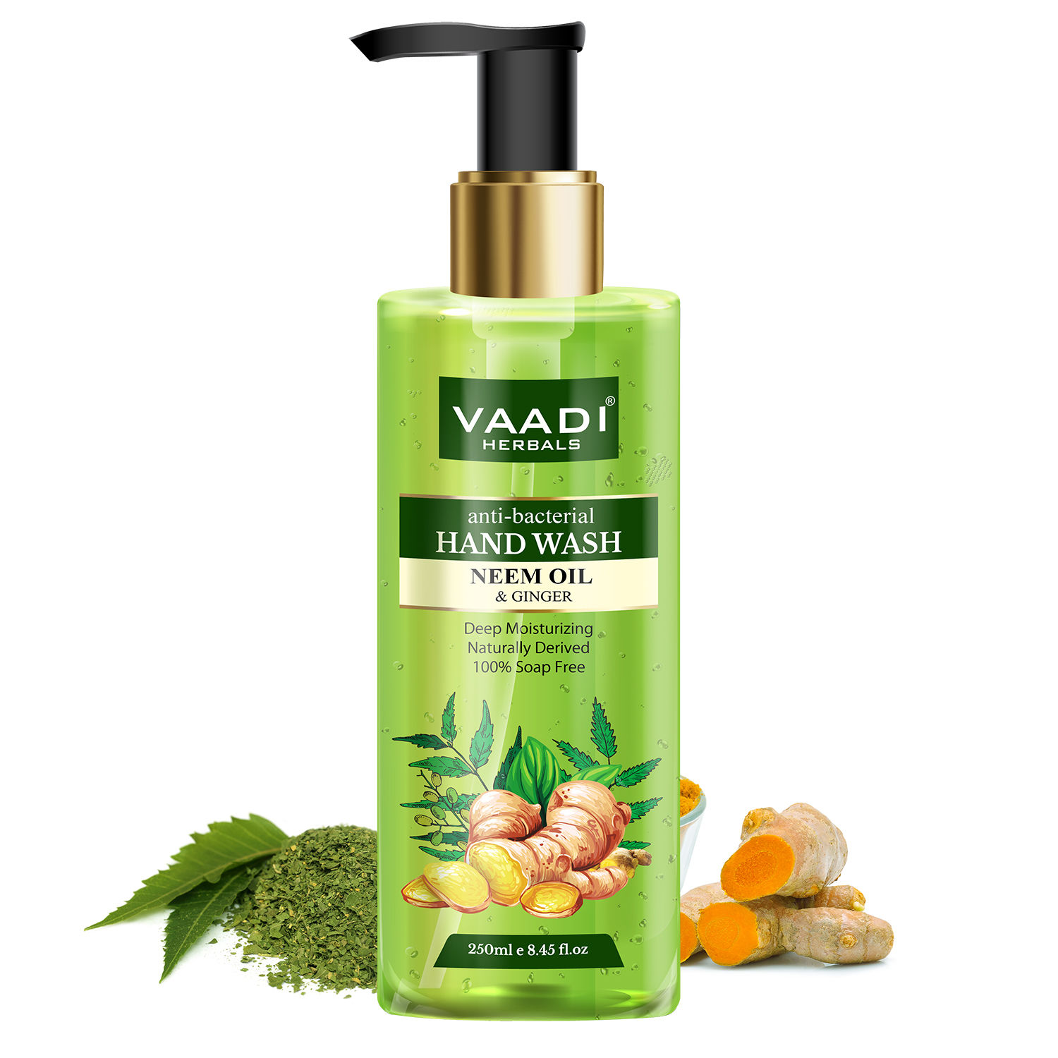 Buy Vaadi Herbals Anti-Bacterial Neem Oil & Ginger Hand Wash (250 ml) - Purplle