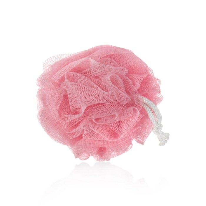Buy TS Everyday Loofah - Purplle