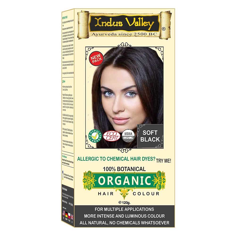 Buy Indus Valley 100% Botanical Soft Black Hair Color (120 g) - Purplle