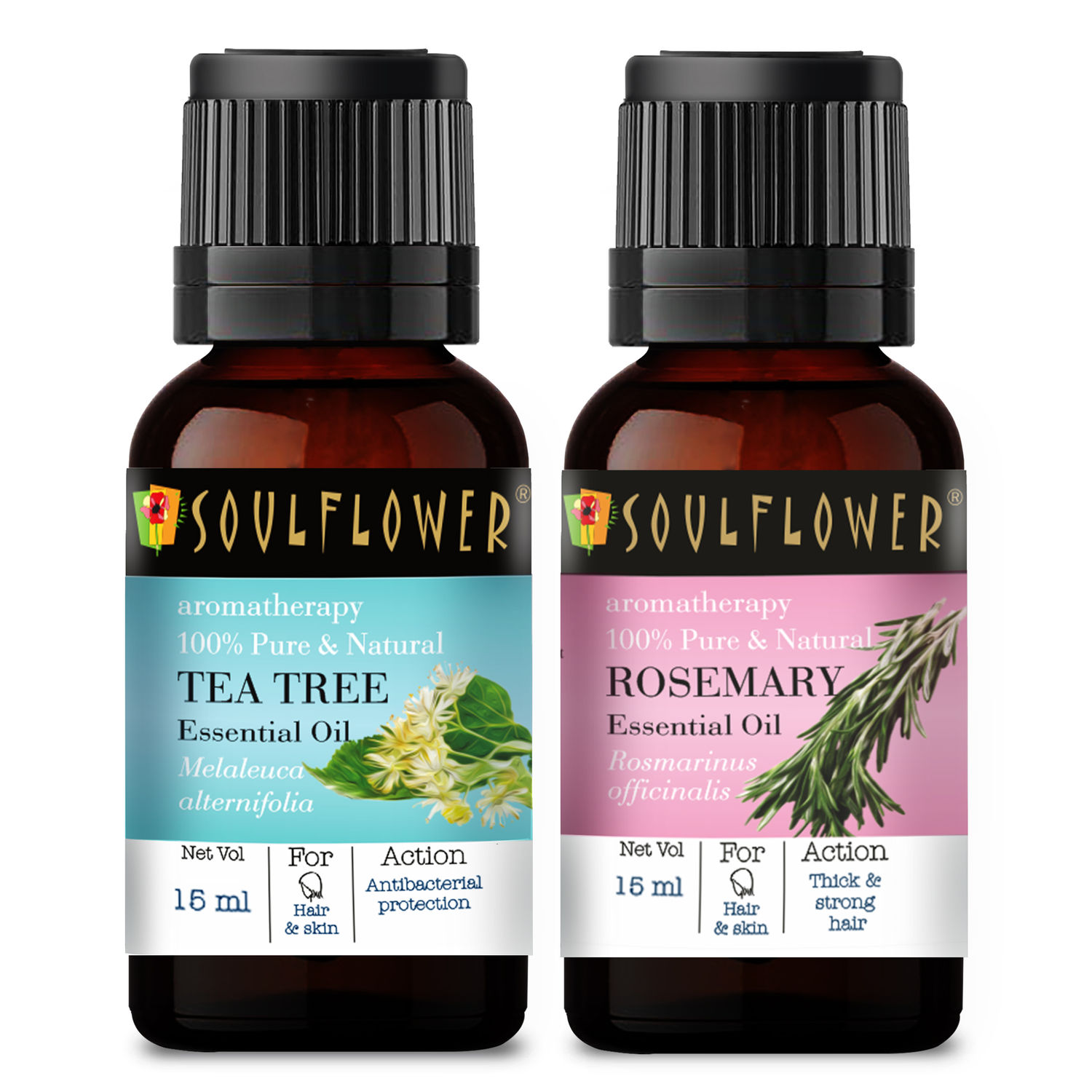 Buy Soulflower Tea Tree Essential Oil (15ml) and Rosemary Essential Oil (15ml) Pack of 2 - Purplle