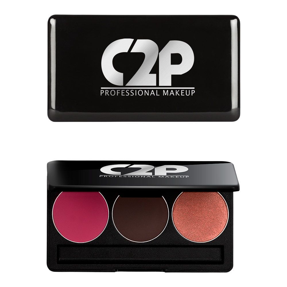Buy C2P Pro Professional Basic Makeup Trio 2 (Blusher - Contour - Highlighter) - Purplle