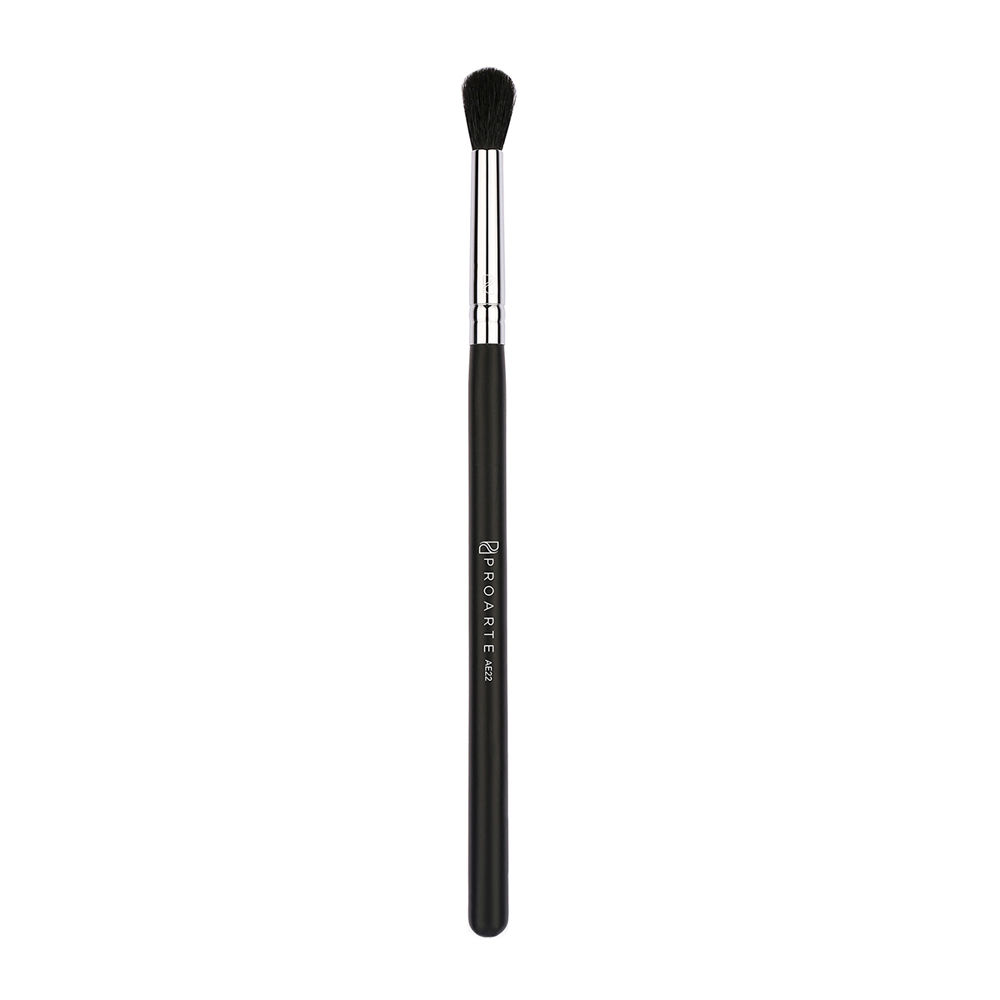 Buy Proarte PF-12 Focused Blush Brush Black - Purplle