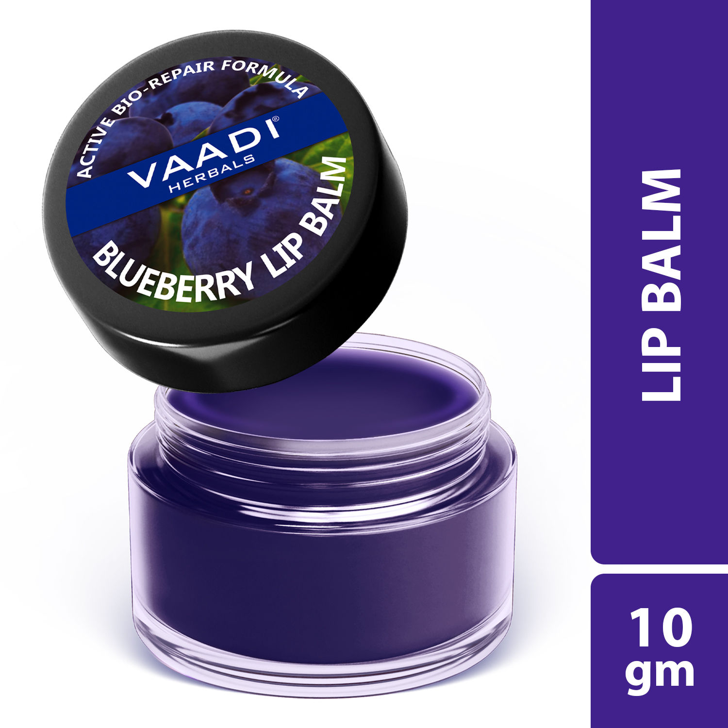 Buy Vaadi Herbals Lip Balm Blueberry (10 g) - Purplle