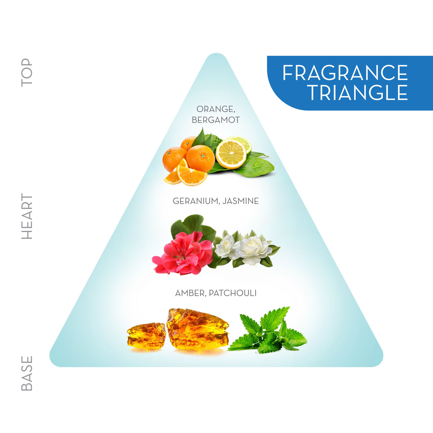 Engage m1 on sale perfume spray