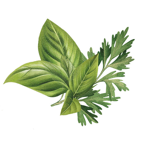 Biotique Basil & Parsley Revitalizing Bathing Bar 75g