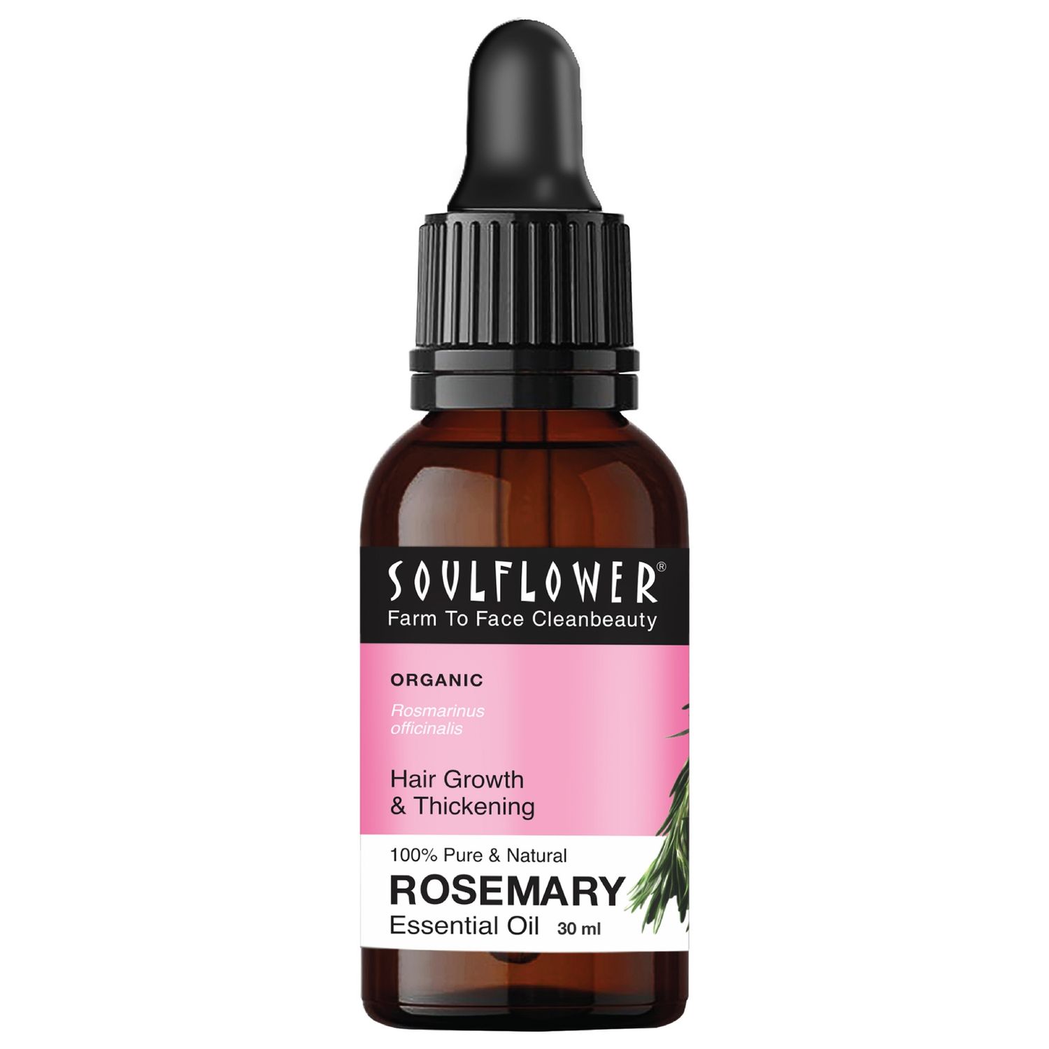 Buy Soulflower Essential Oil Rosemary (30 ml) - Purplle