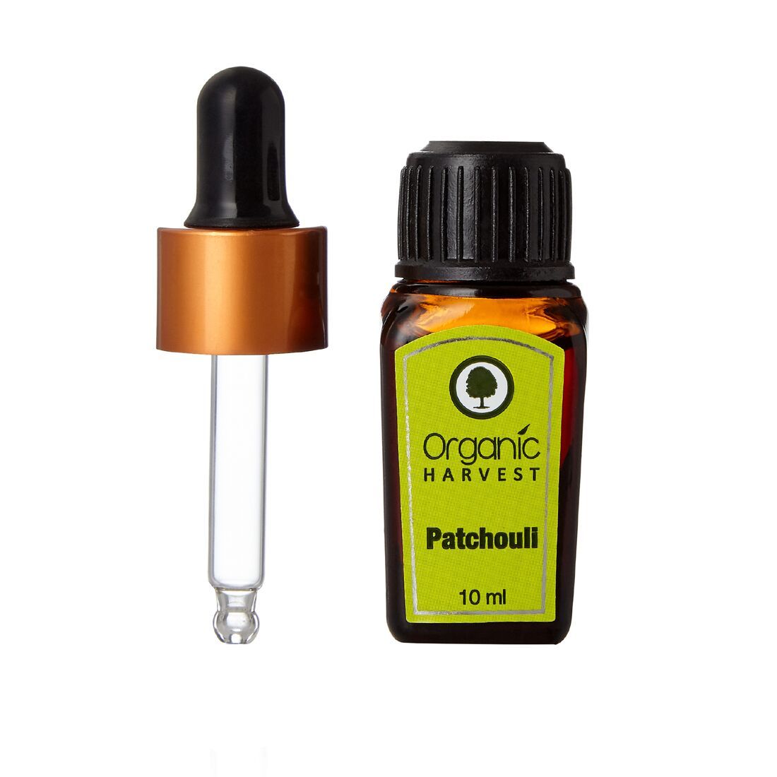 Buy Organic Harvest Patchouli (10 ml) - Purplle