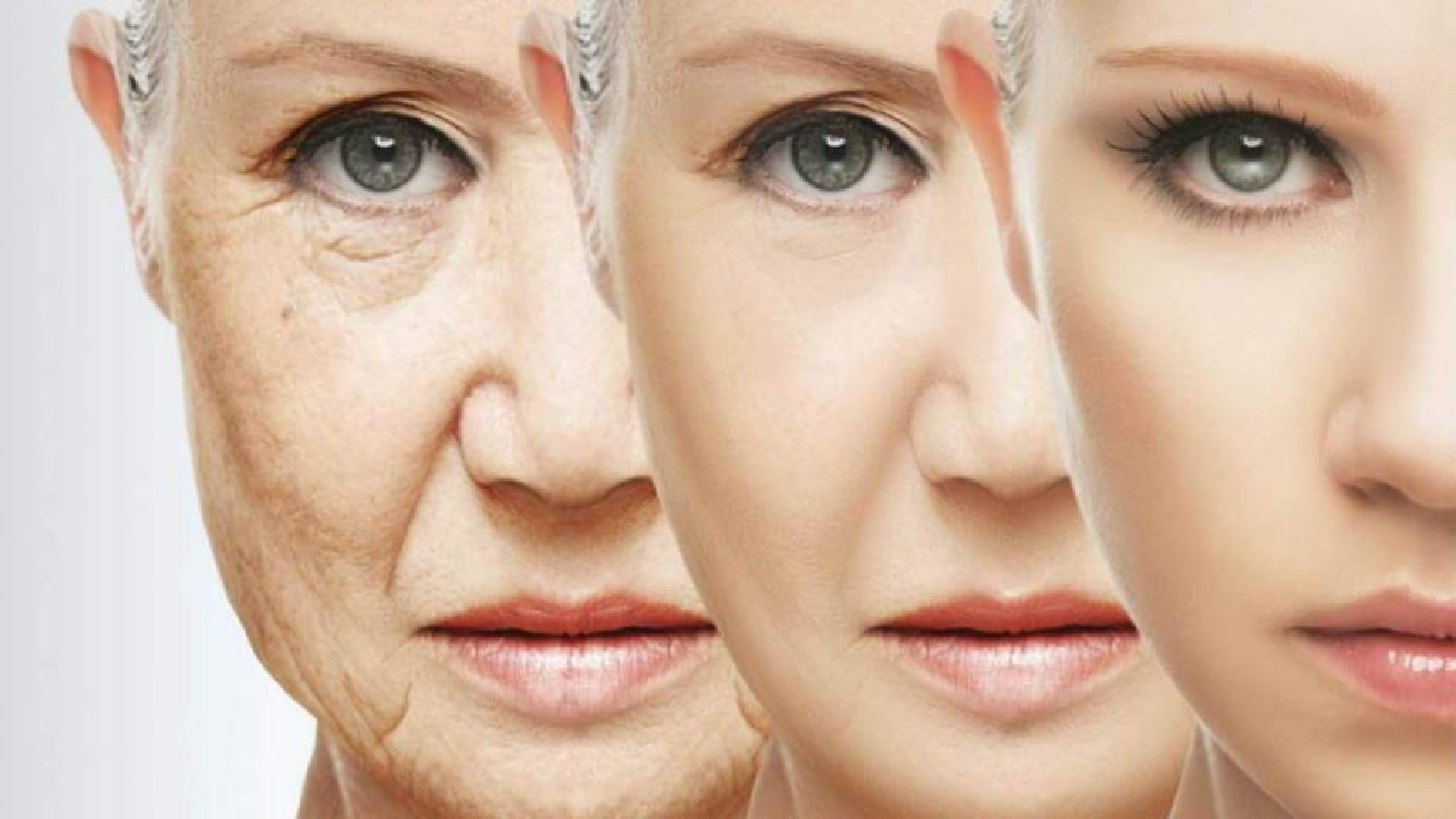 Reduces Signs of Ageing - Avocado Oil Skin and Face Benefits