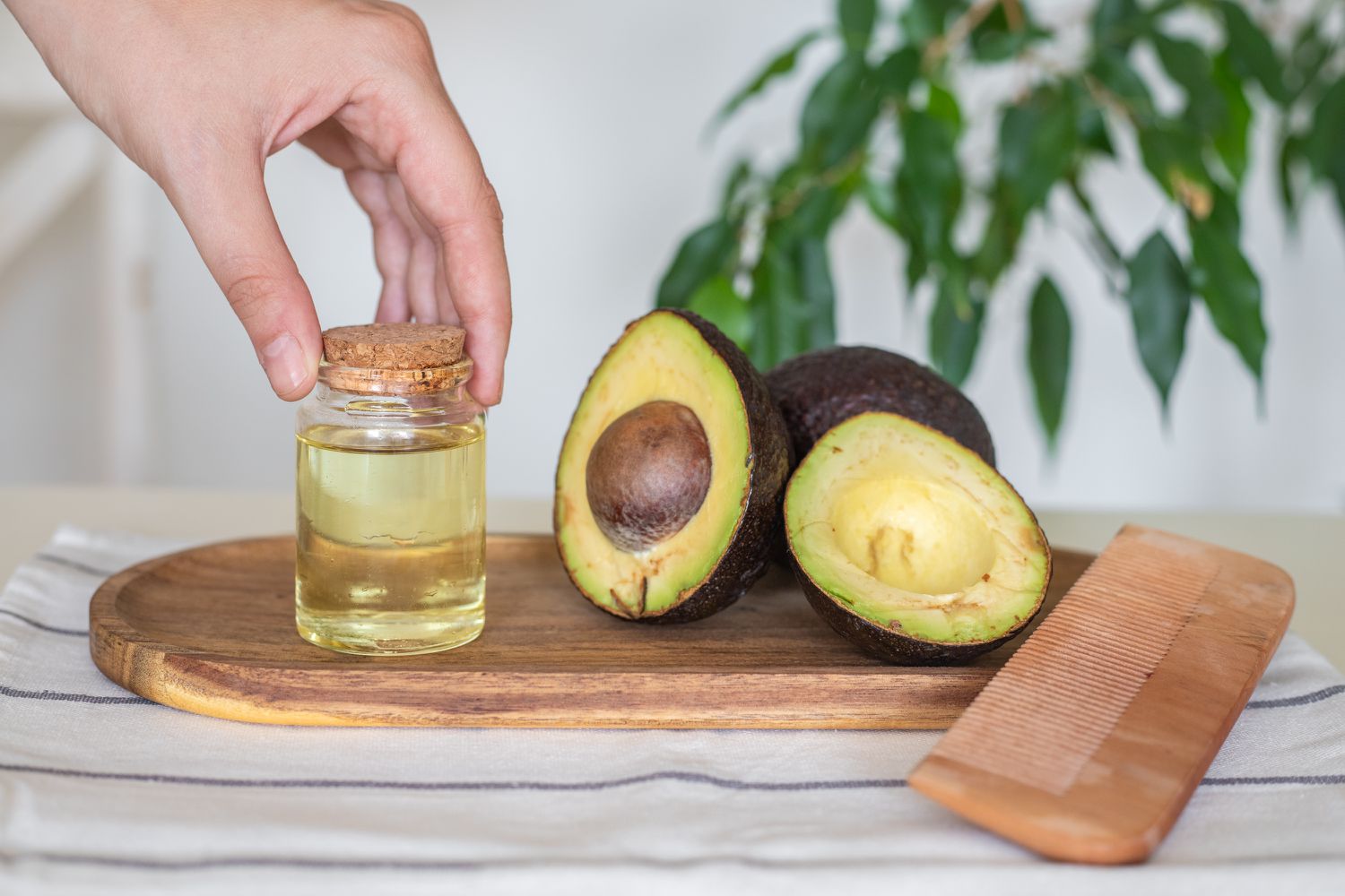 The Benefits of Using Avocado Fruit Oil in Your Skincare Routine