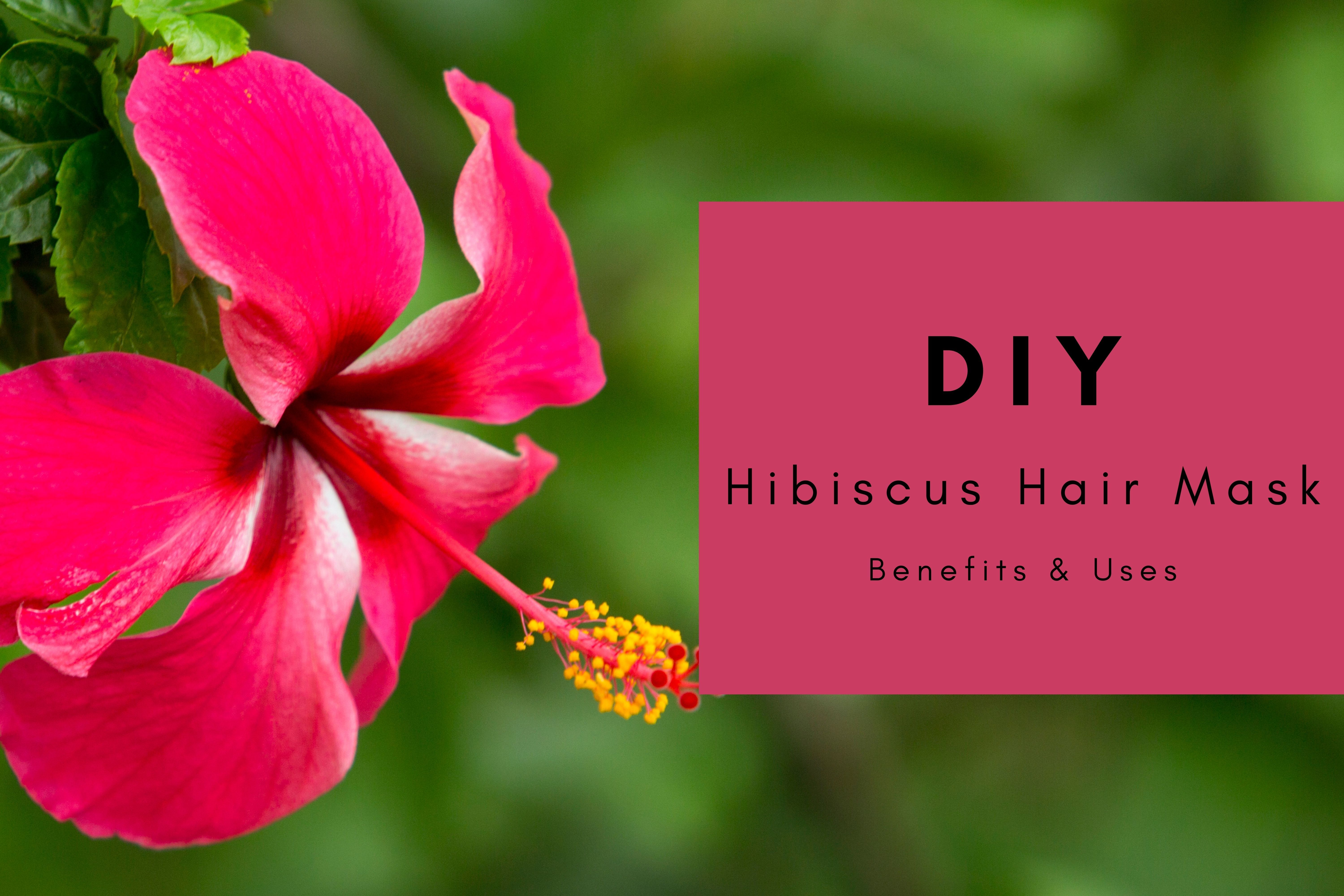Hibiscus for Hair: Benefits and Uses