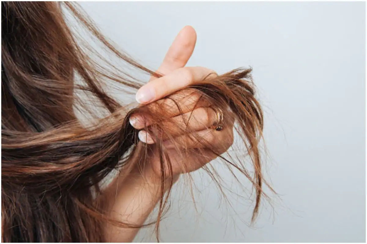 The 12 Best Hair Products for Dry, Damaged Hair - PureWow