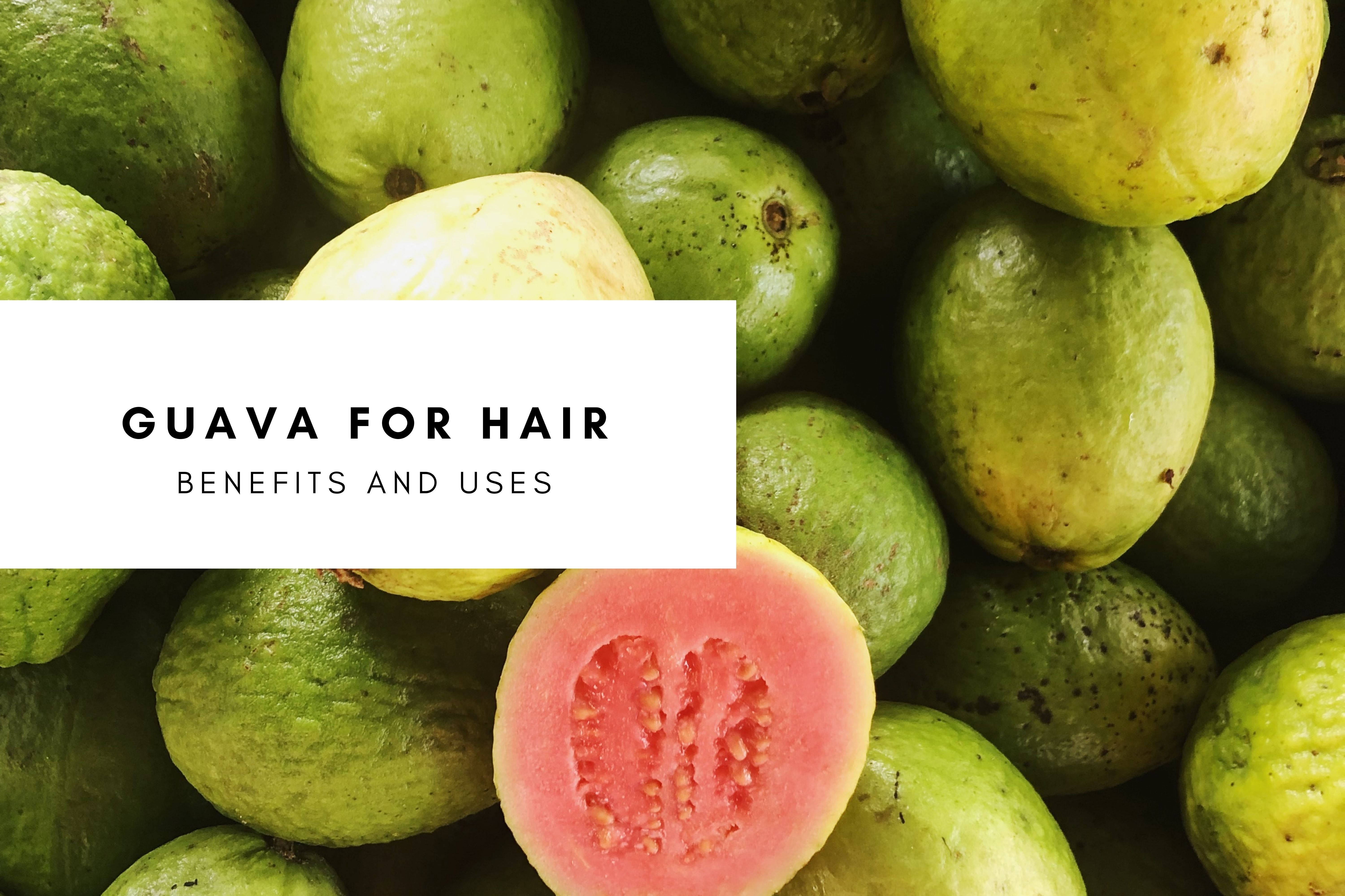 Why Guava Leaves For Hair Loss Works Backed With Scientific Studies