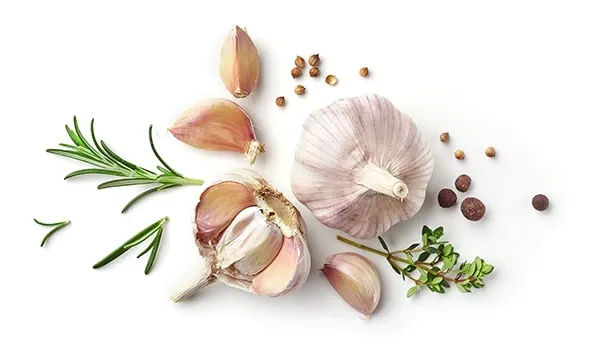 Garlic to Improve Breast Milk