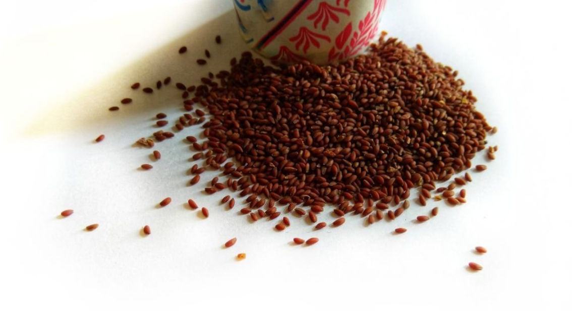 5 Amazing Benefits Of Halim Seeds For Your Body (Aliv Or Garden Cress Seed)