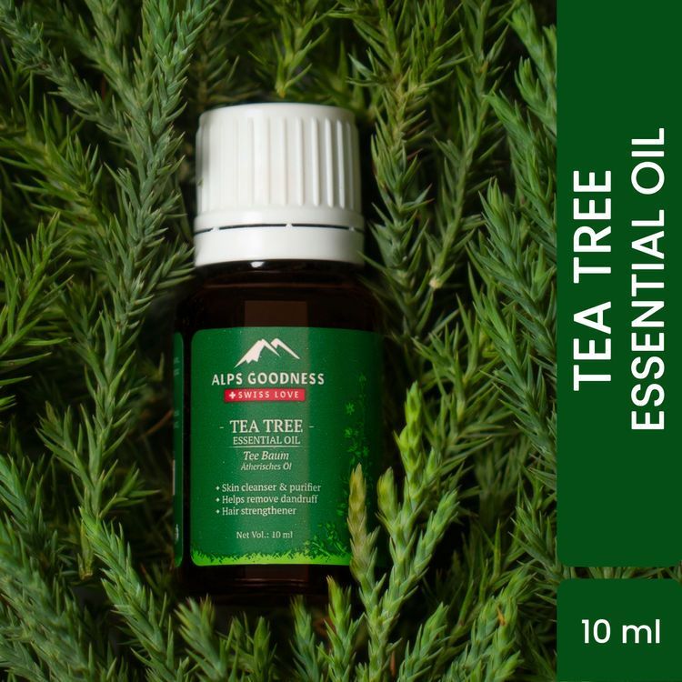 7 Benefits and Uses of Tea Tree Oil for Hair You Need to Know