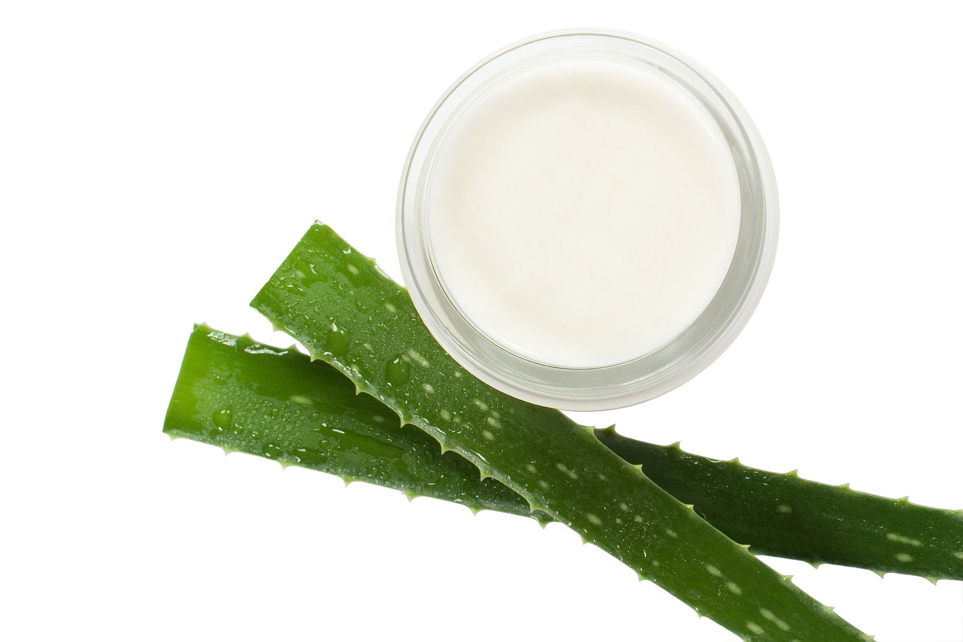 Aloe Vera For Shiny And Strong Hair - 2 | Hair | Purplle