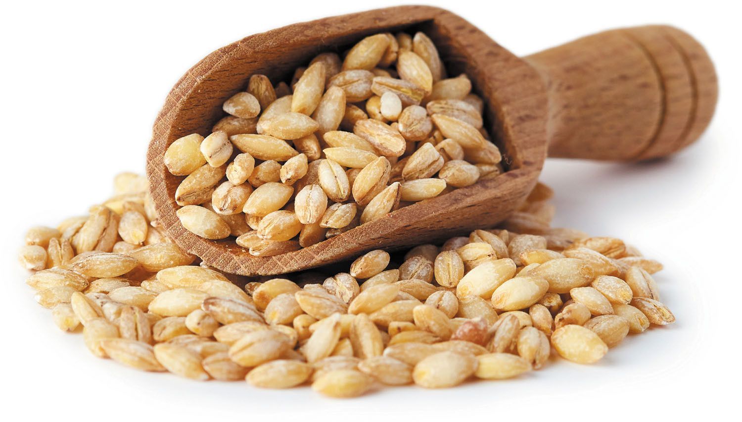 Barley to improve Breast Milk