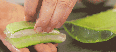 How To Heal Chapped Lips - 13 | Skin | Purplle