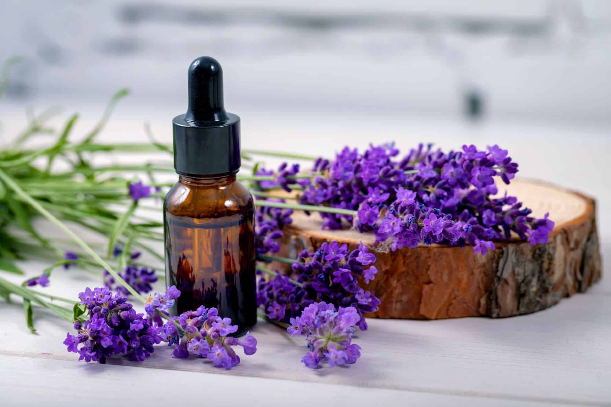 Lavender Essential Oil: Benefits & How to Use it