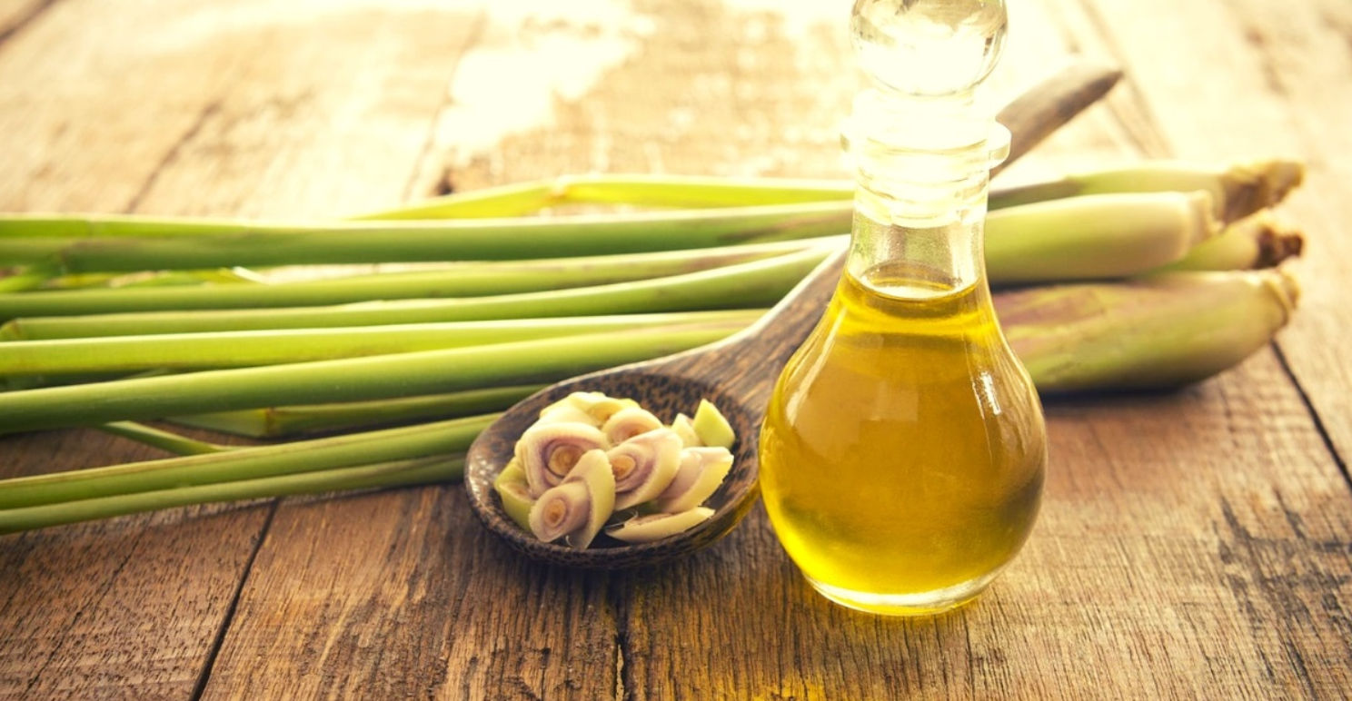 Things You Must Know Before Using Lemongrass for Hair - Purplle