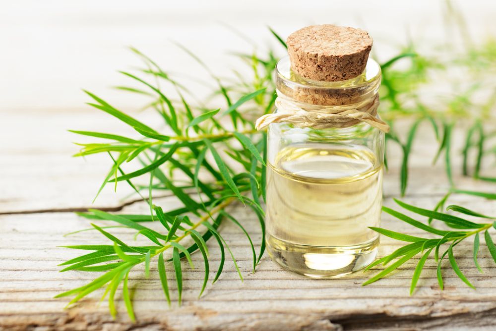 Discover the Best Home Remedies for Whiteheads - 6 | Skin | Purplle